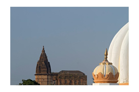 Amar Mahal Orchaa